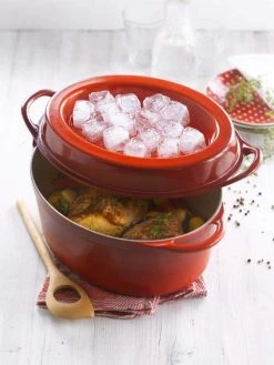 Le Creuset Saftbräter Doufeu Oval Aus Gusseisen In Ofenrot 9 Le Creuset Saftbräter Doufeu Oval Aus Gusseisen In Ofenrot -Le Creuset-Shop Doufeu l